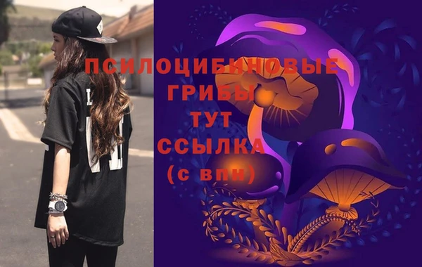 прущий лед Касимов