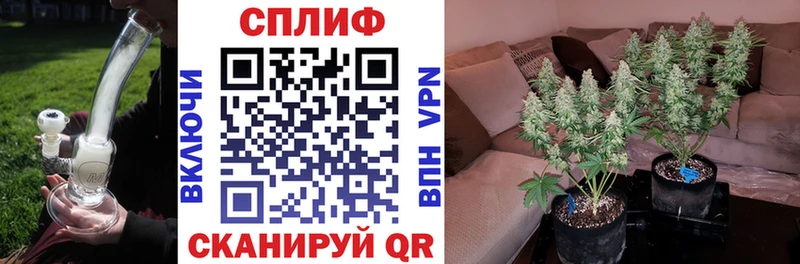 Конопля ГИДРОПОН  Купить закладки  Сосновка 